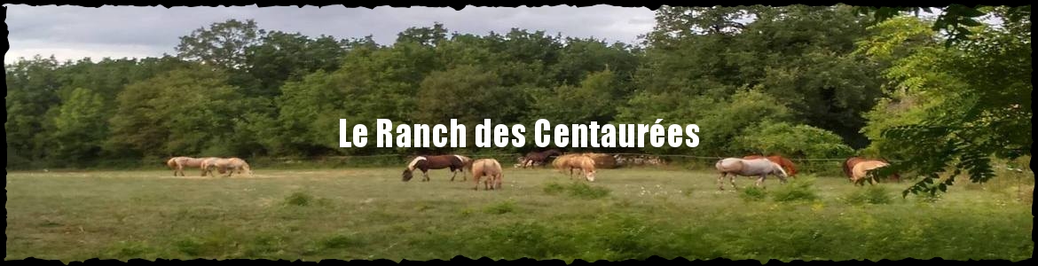 Le Ranch des Centaurées